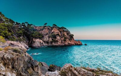 How can I live and study in Spain?